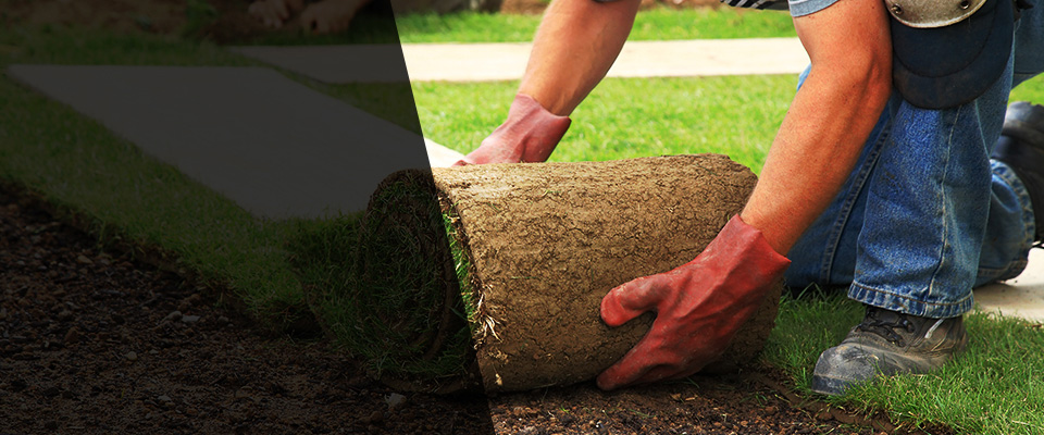 Tobyhanna Landscapers